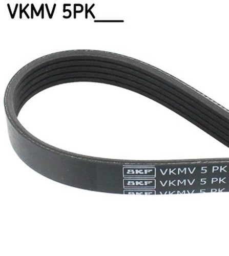 For skf vkmv 5pk1646 - for,